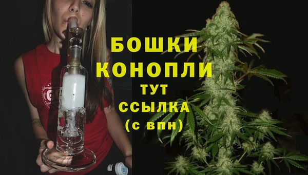 гашик Нефтекумск