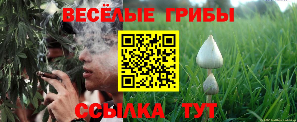 Галлюциногенные грибы ЛСД  Вход с VPN  Галлюциногенные грибы Magic Shrooms  Копейск 